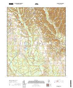 USGS US Topo 7.5-minute map for Marion South AL 2020