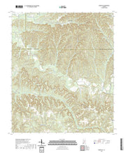 US Topo 7.5-minute map for Ridgeville AL