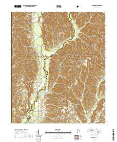 USGS US Topo 7.5-minute map for Summerfield AL 2021