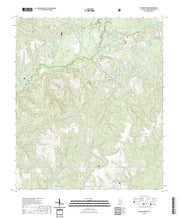 US Topo 7.5-minute map for Watkins Bridge AL