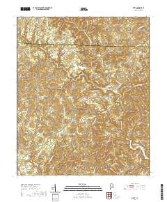 USGS US Topo 7.5-minute map for Wiley AL 2020