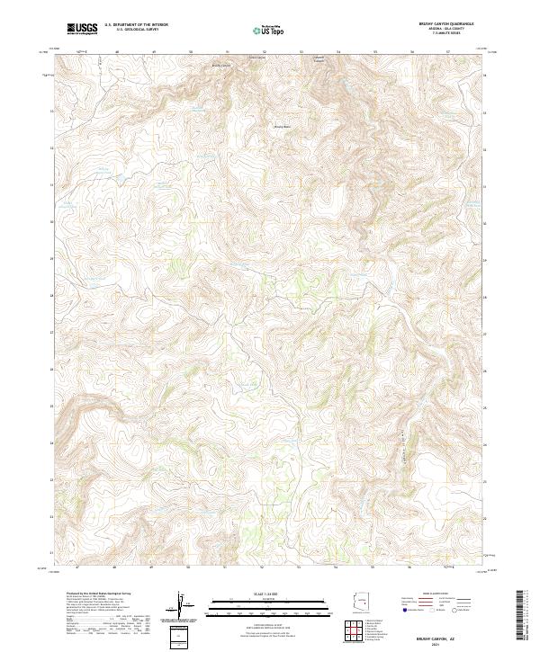 US Topo 7.5-minute map for Brushy Canyon AZ