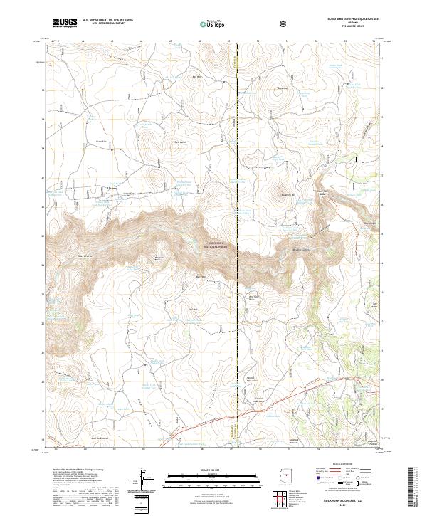 US Topo 7.5-minute map for Buckhorn Mountain AZ