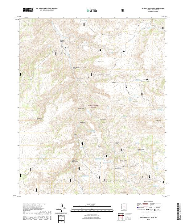 US Topo 7.5-minute map for Buzzard Roost Mesa AZ