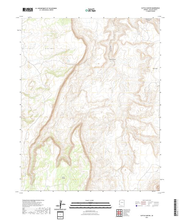 US Topo 7.5-minute map for Cattle Canyon AZ