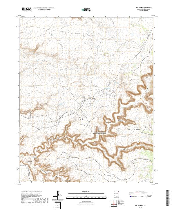 US Topo 7.5-minute map for Del Muerto AZ