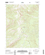 US Topo 7.5-minute map for Buffalo Pass CO