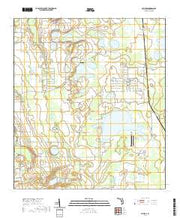 USGS US Topo 7.5-minute map for Alturas FL 2021