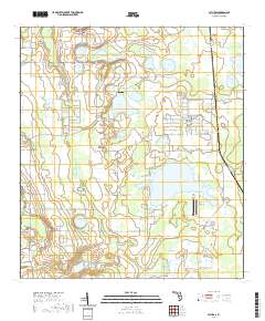 USGS US Topo 7.5-minute map for Alturas FL 2021