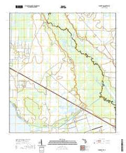 USGS US Topo 7.5-minute map for Basinger NW FL 2021