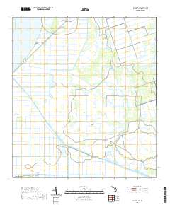 USGS US Topo 7.5-minute map for Basinger SW FL 2021