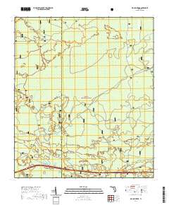 USGS US Topo 7.5-minute map for Big Gum Swamp FL 2021