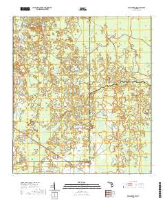 USGS US Topo 7.5-minute map for Branchborough FL 2021