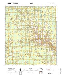 USGS US Topo 7.5-minute map for Broad Branch FL 2021