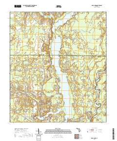 USGS US Topo 7.5-minute map for Dead Lakes FL 2021