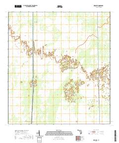 USGS US Topo 7.5-minute map for Deep Lake FL 2021