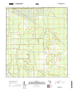 USGS US Topo 7.5-minute map for Dinner Island FL 2021