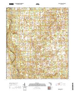 USGS US Topo 7.5-minute map for Dowling Park FL 2021