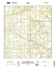 USGS US Topo 7.5-minute map for Edgeville FL 2021