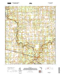 USGS US Topo 7.5-minute map for Ellaville FL 2021