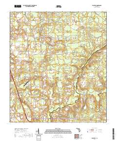 USGS US Topo 7.5-minute map for Ellisville FL 2021