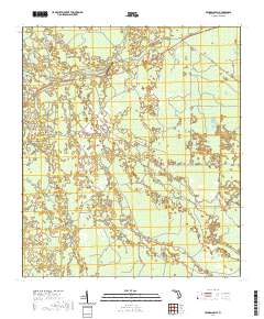 USGS US Topo 7.5-minute map for Fenholloway FL 2021