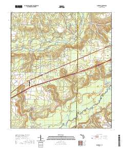 USGS US Topo 7.5-minute map for Floridale FL 2021