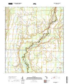 USGS US Topo 7.5-minute map for Fort Kissimmee FL 2021