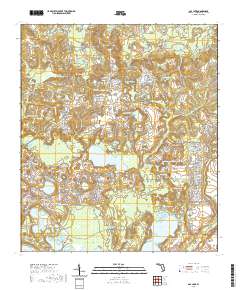 USGS US Topo 7.5-minute map for Gap Lake FL 2021