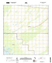 USGS US Topo 7.5-minute map for Gator Hook Swamp FL 2021