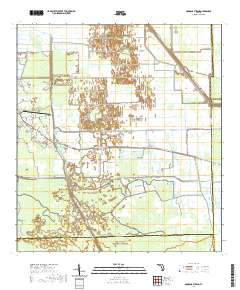 USGS US Topo 7.5-minute map for Goddens Strand FL 2021