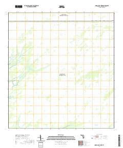 USGS US Topo 7.5-minute map for Indian Camp Creek FL 2021