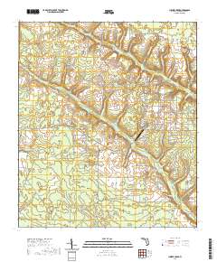 USGS US Topo 7.5-minute map for Juniper Creek FL 2021