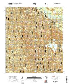 USGS US Topo 7.5-minute map for Lake Delancy FL 2021