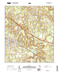 USGS US Topo 7.5-minute map for Live Oak East FL 2021