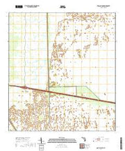 USGS US Topo 7.5-minute map for Lone Palm Head FL 2021