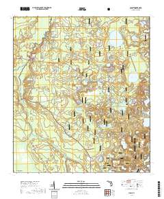 USGS US Topo 7.5-minute map for Lynne FL 2021