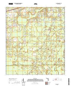 USGS US Topo 7.5-minute map for Manning FL 2021