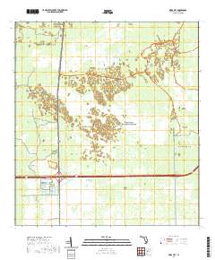 USGS US Topo 7.5-minute map for Miles City FL 2021