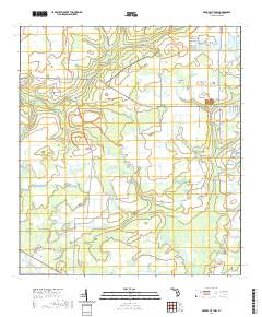 USGS US Topo 7.5-minute map for Myakka City NW FL 2021