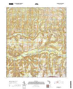 USGS US Topo 7.5-minute map for New Harmony FL 2021