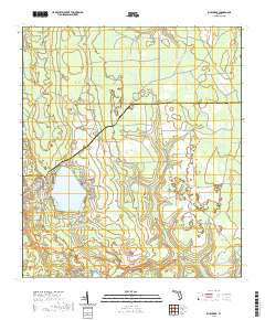 USGS US Topo 7.5-minute map for Rice Creek FL 2021