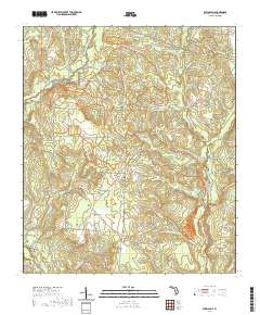 USGS US Topo 7.5-minute map for Spring Hill FL 2021