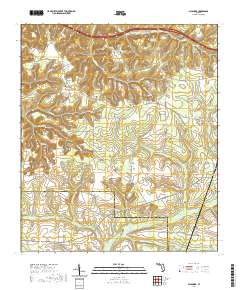 USGS US Topo 7.5-minute map for Sycamore FL 2021