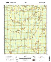 USGS US Topo 7.5-minute map for Tates Hell Swamp FL 2021