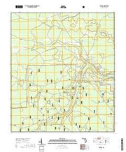 USGS US Topo 7.5-minute map for Taylor FL 2021