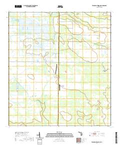 USGS US Topo 7.5-minute map for Telegraph Swamp NE FL 2021