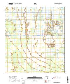 USGS US Topo 7.5-minute map for Telegraph Swamp NW FL 2021