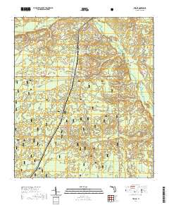 USGS US Topo 7.5-minute map for Telogia FL 2021