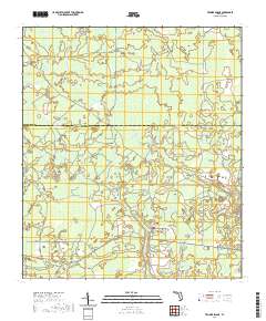 USGS US Topo 7.5-minute map for Tenmile Swamp FL 2021